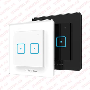 Выключатель двухклавишный в рамку FS-02, Sinum